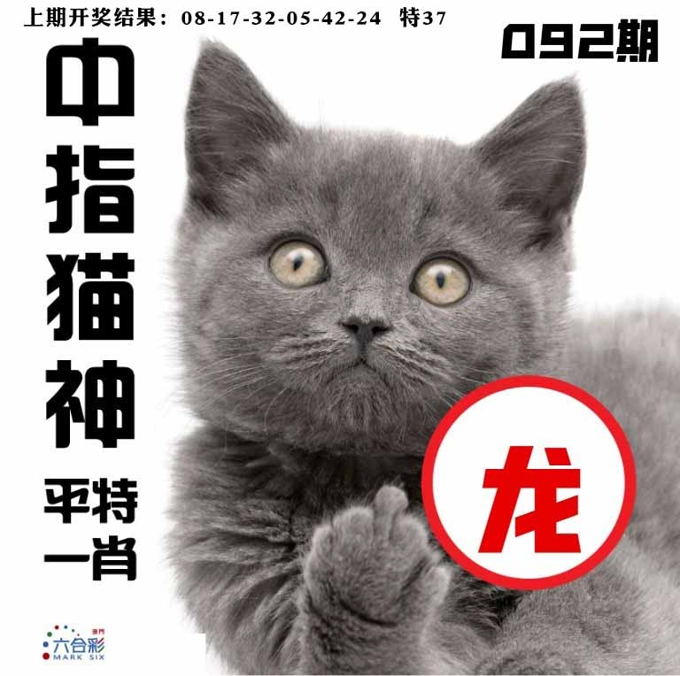 092期中指猫神[图]