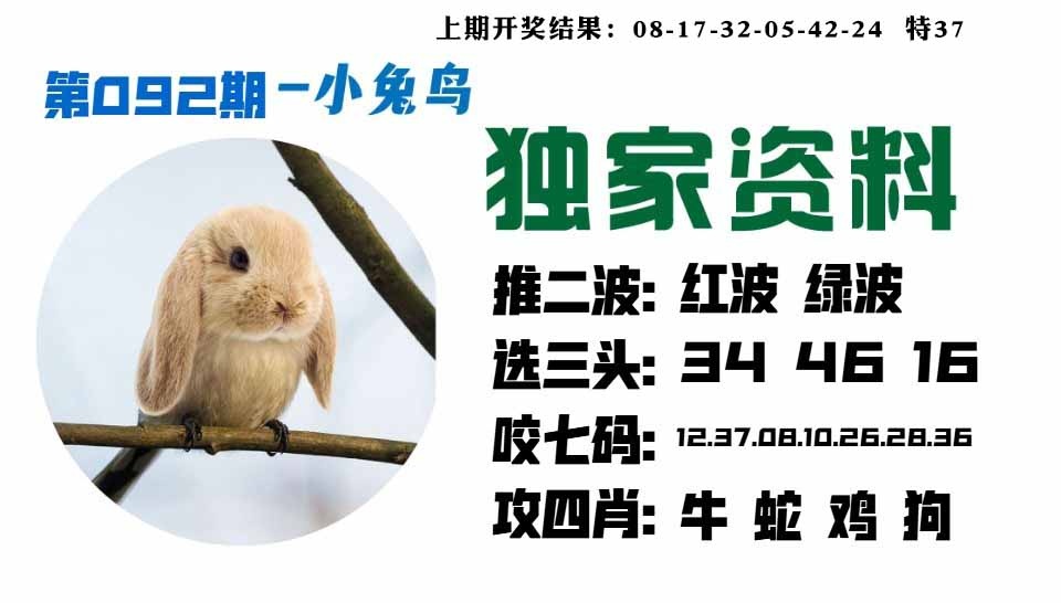 092期小兔鸟[图]